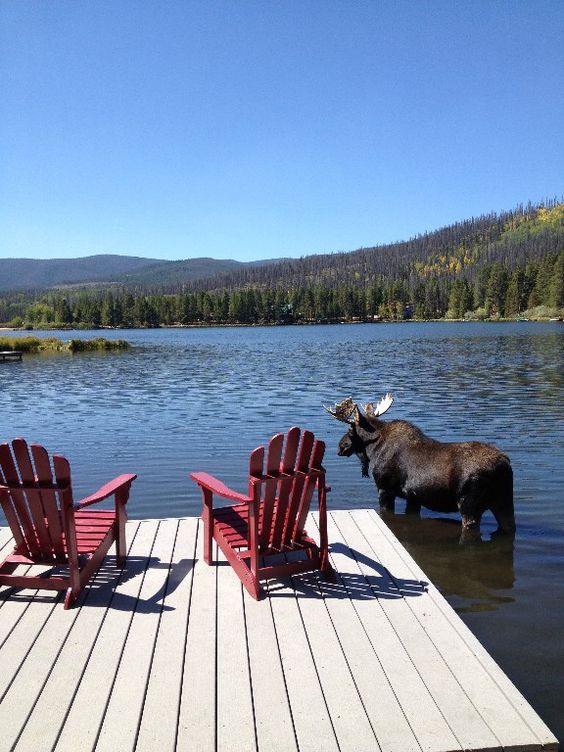 Wooden Dock